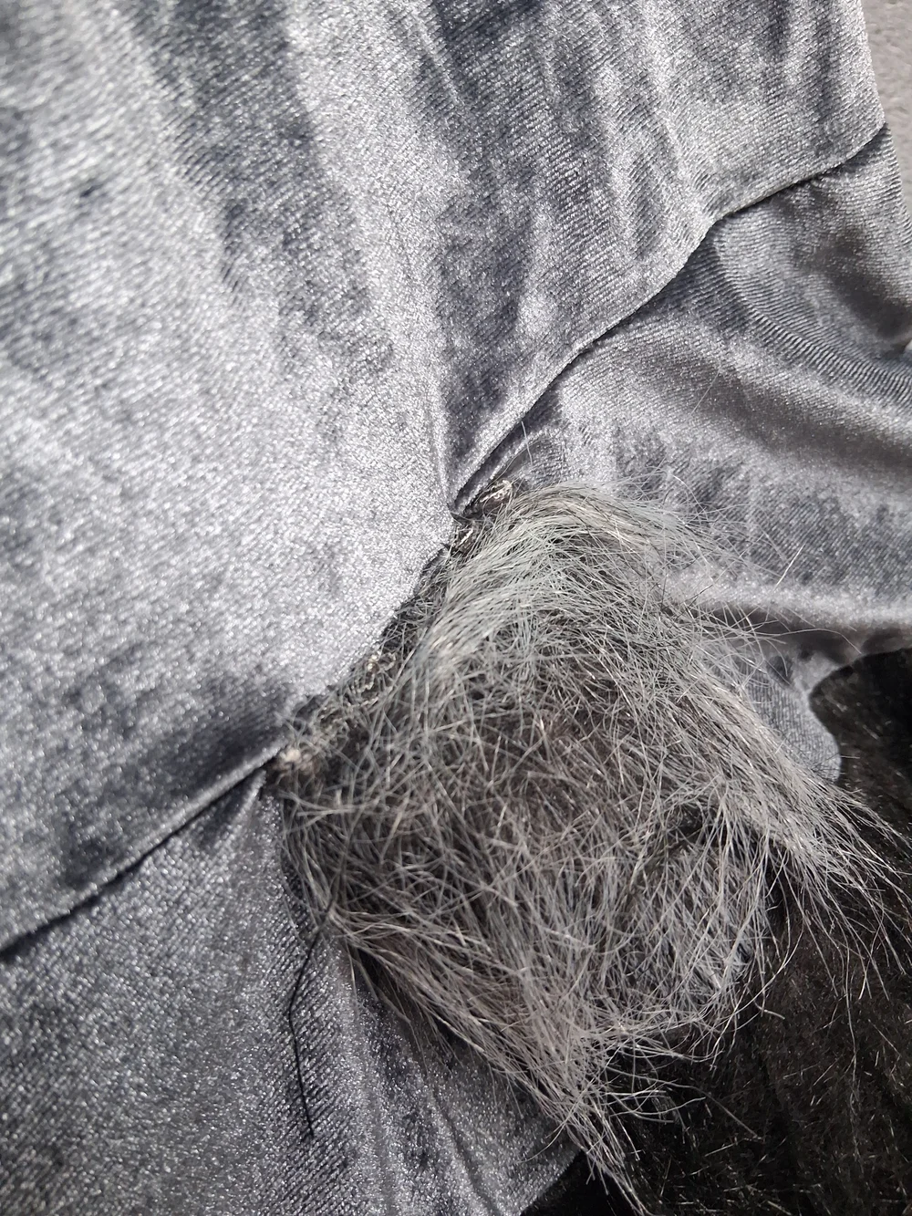 Spooktacular soft velvet